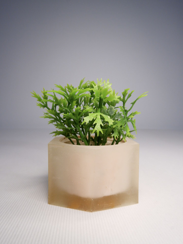 DSCF3830.webp