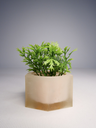 DSCF3830.webp