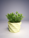 DSCF3816.webp