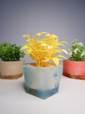 DSCF3833.webp