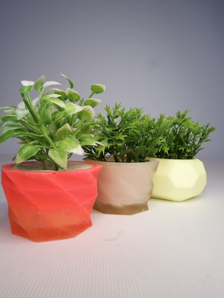 DSCF3805.webp