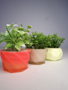 DSCF3805.webp