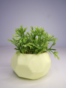 DSCF3801.webp