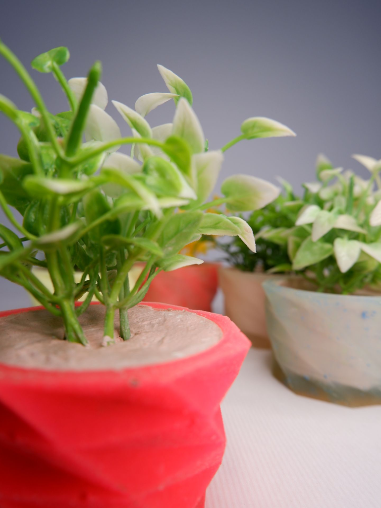 DSCF3824.webp