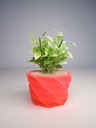 DSCF3799.webp